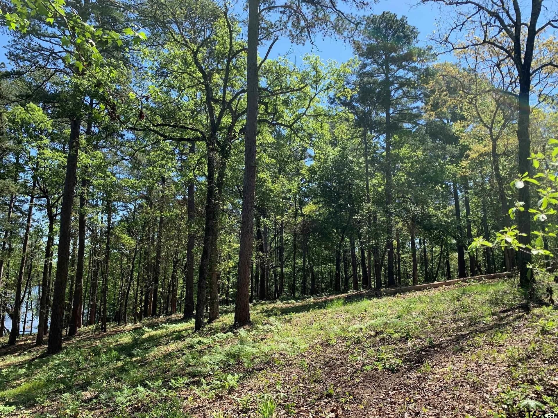 22.38 acres in Henderson County - photo 22