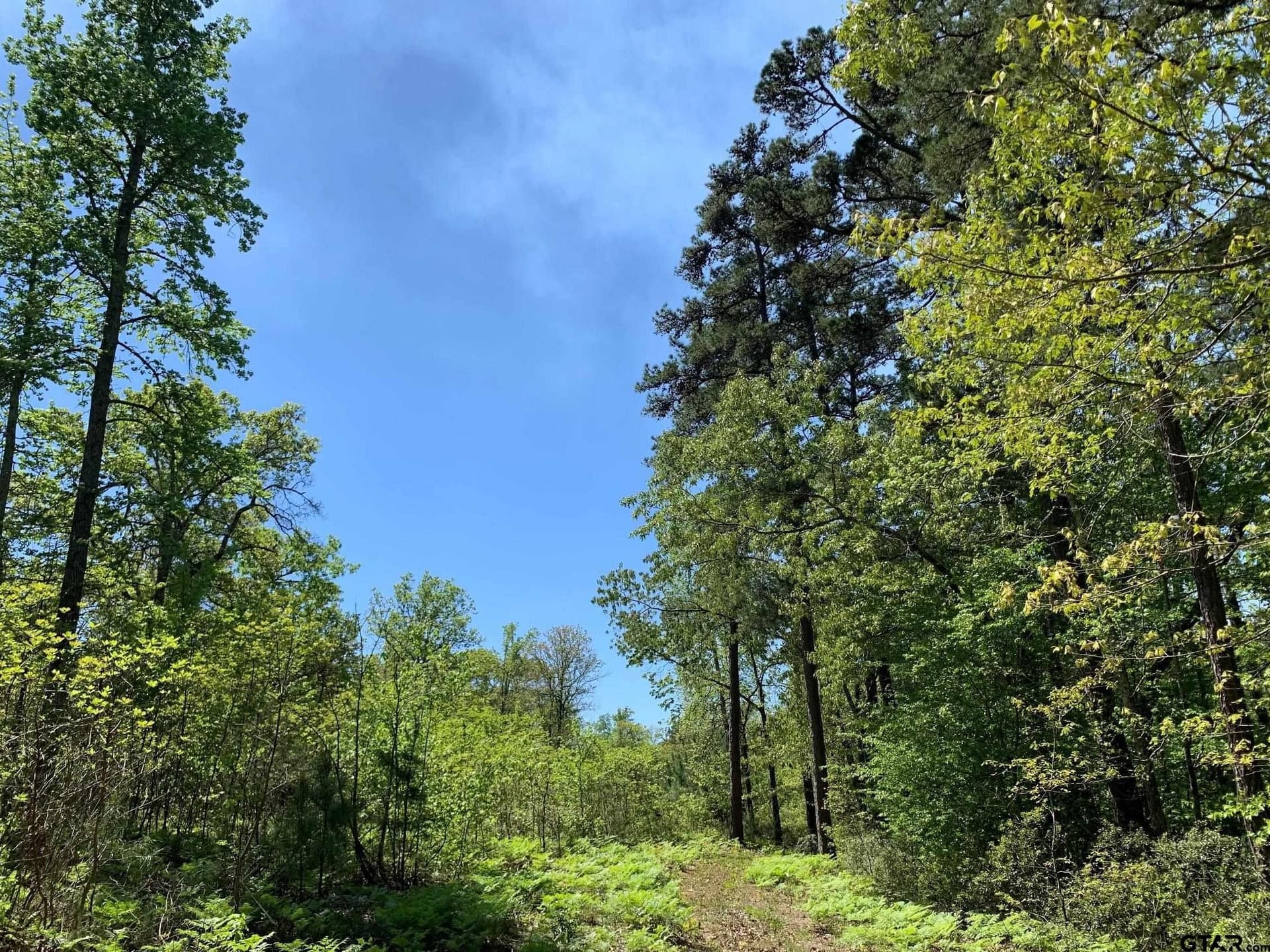22.38 acres in Henderson County - photo 27