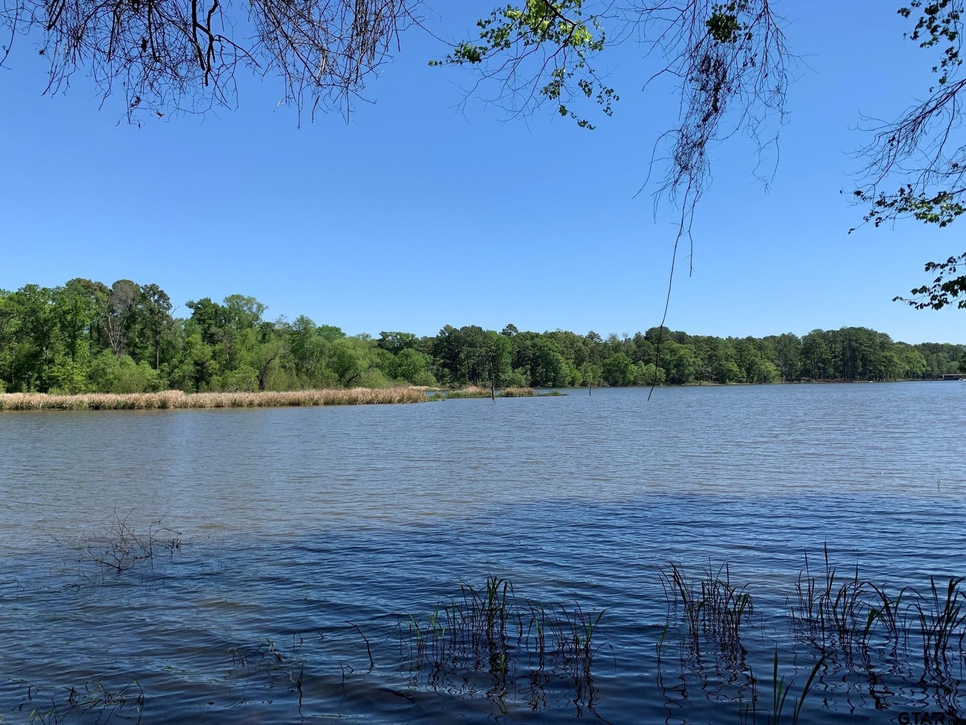 22.38 acres in Henderson County - photo 13