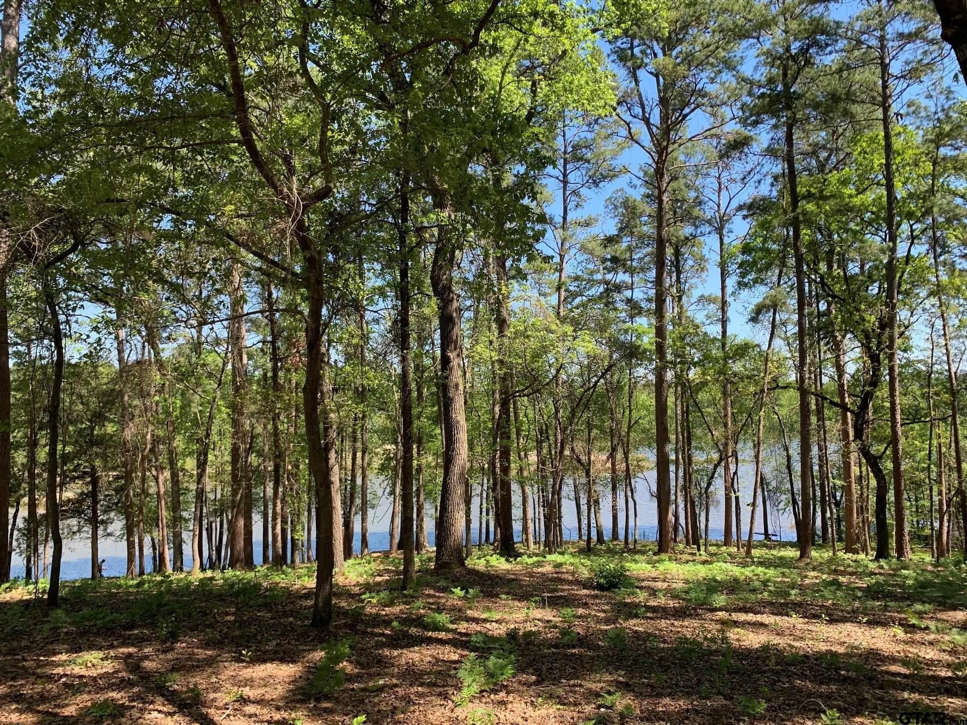 22.38 acres in Henderson County - photo 19