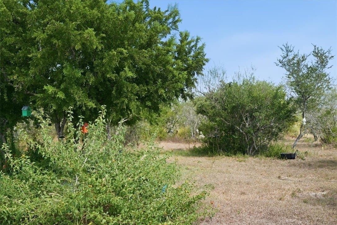100,000 acres in Jim Wells County - photo 8