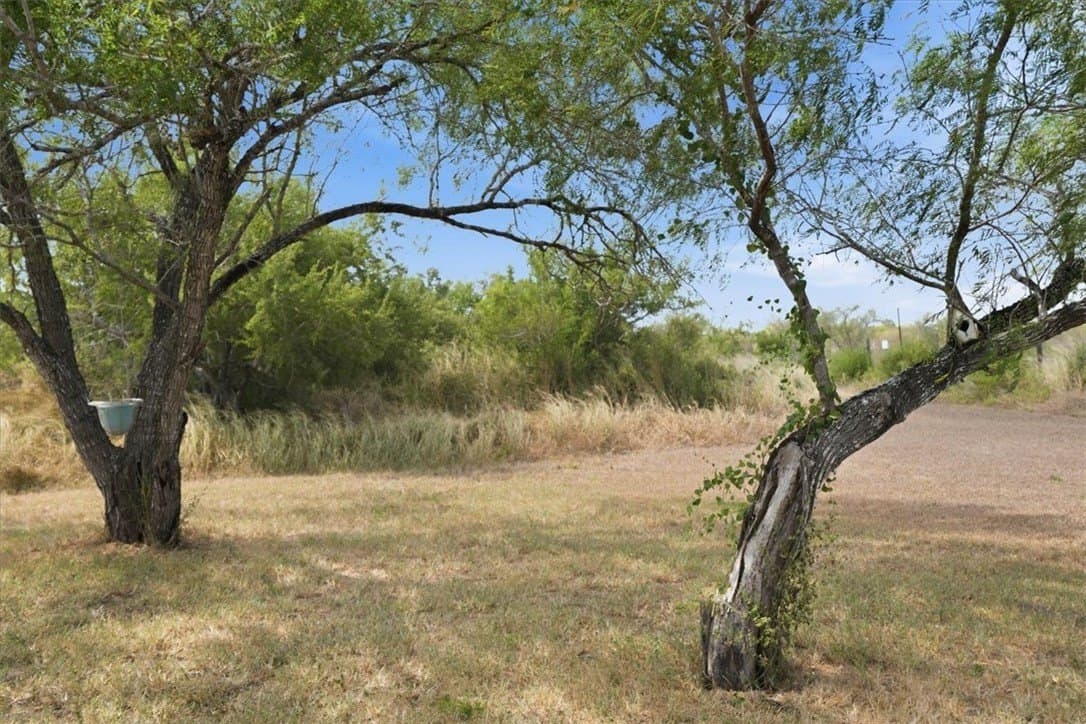 100,000 acres in Jim Wells County - photo 7