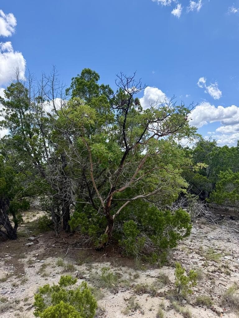 5.06 acres in Bandera County - photo 9
