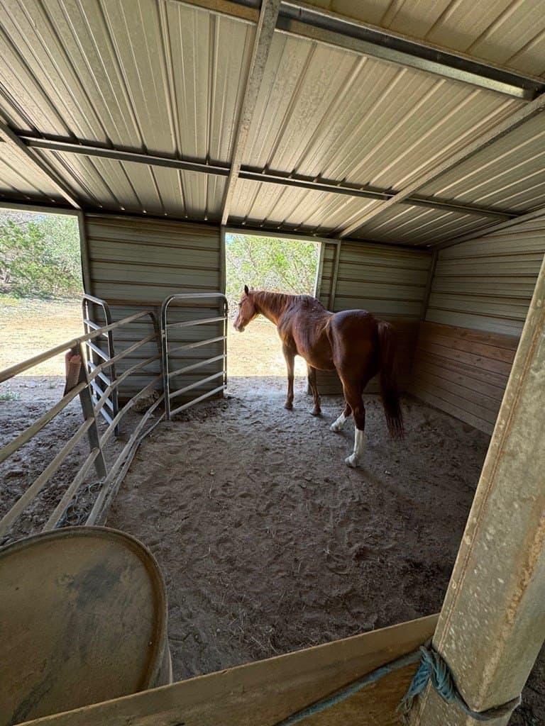 10 acres in Bandera County - photo 14