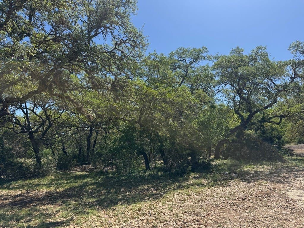 10 acres in Bandera County - photo 22