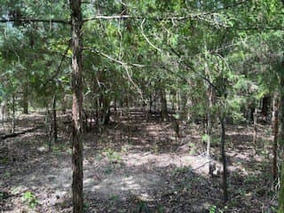 0.73 acres in Hunt County - photo 4