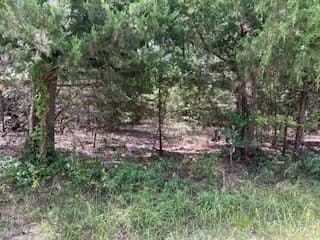 0.73 acres in Hunt County - photo 3