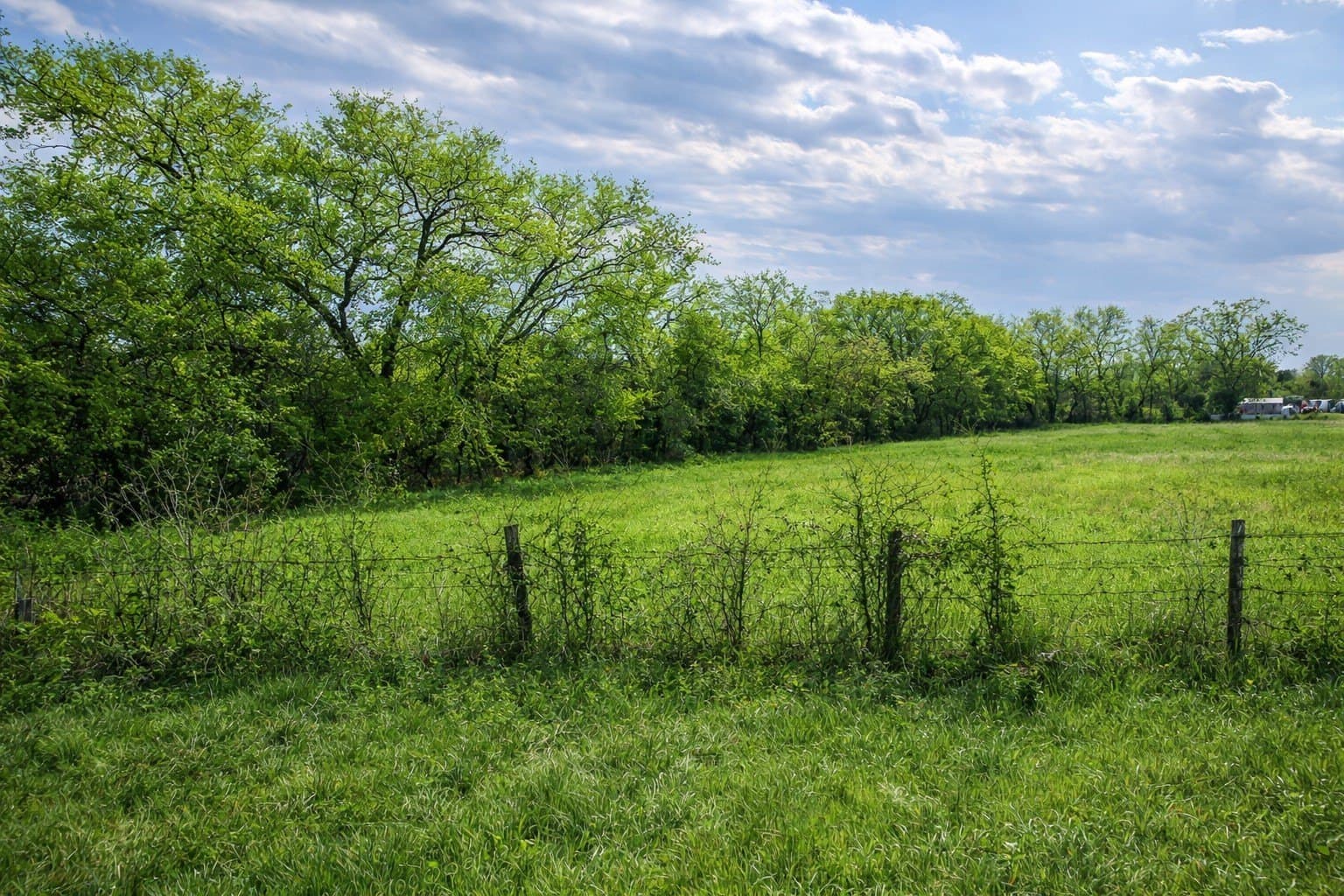 0.25 acres in Hunt County gallery image 3