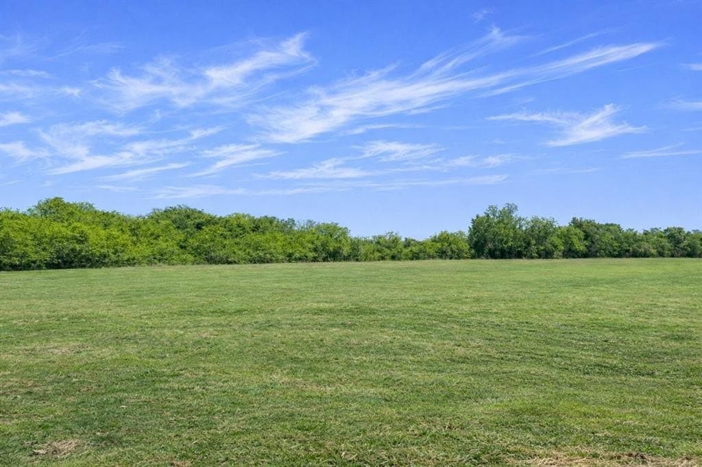 13 acres in Navarro County gallery image 3