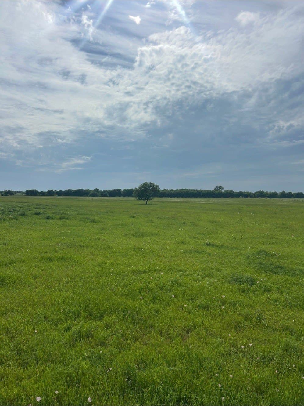 10.5 acres in Grayson County - photo 4