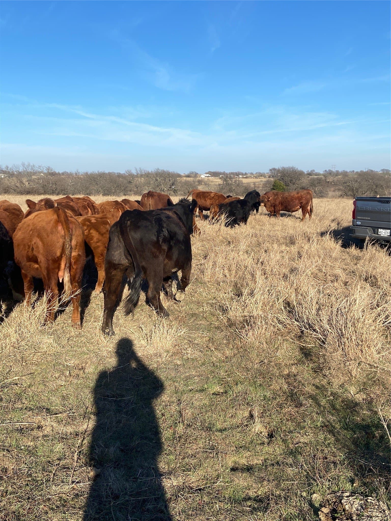 10.5 acres in Grayson County - photo 3