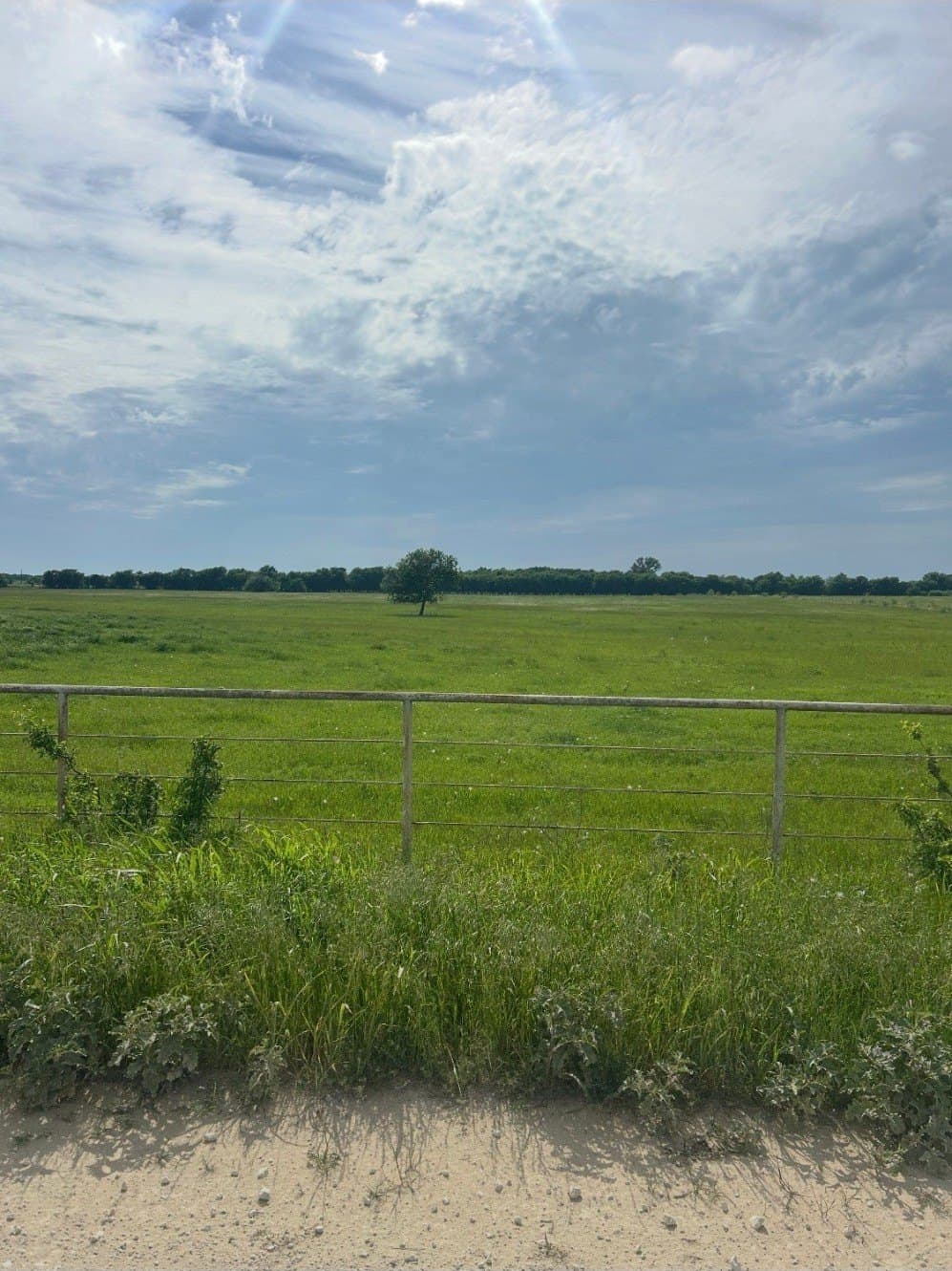 10.5 acres in Grayson County - photo 7