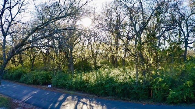 1 acres in Fannin County gallery image 4