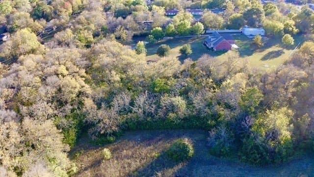 1 acres in Fannin County gallery image 2