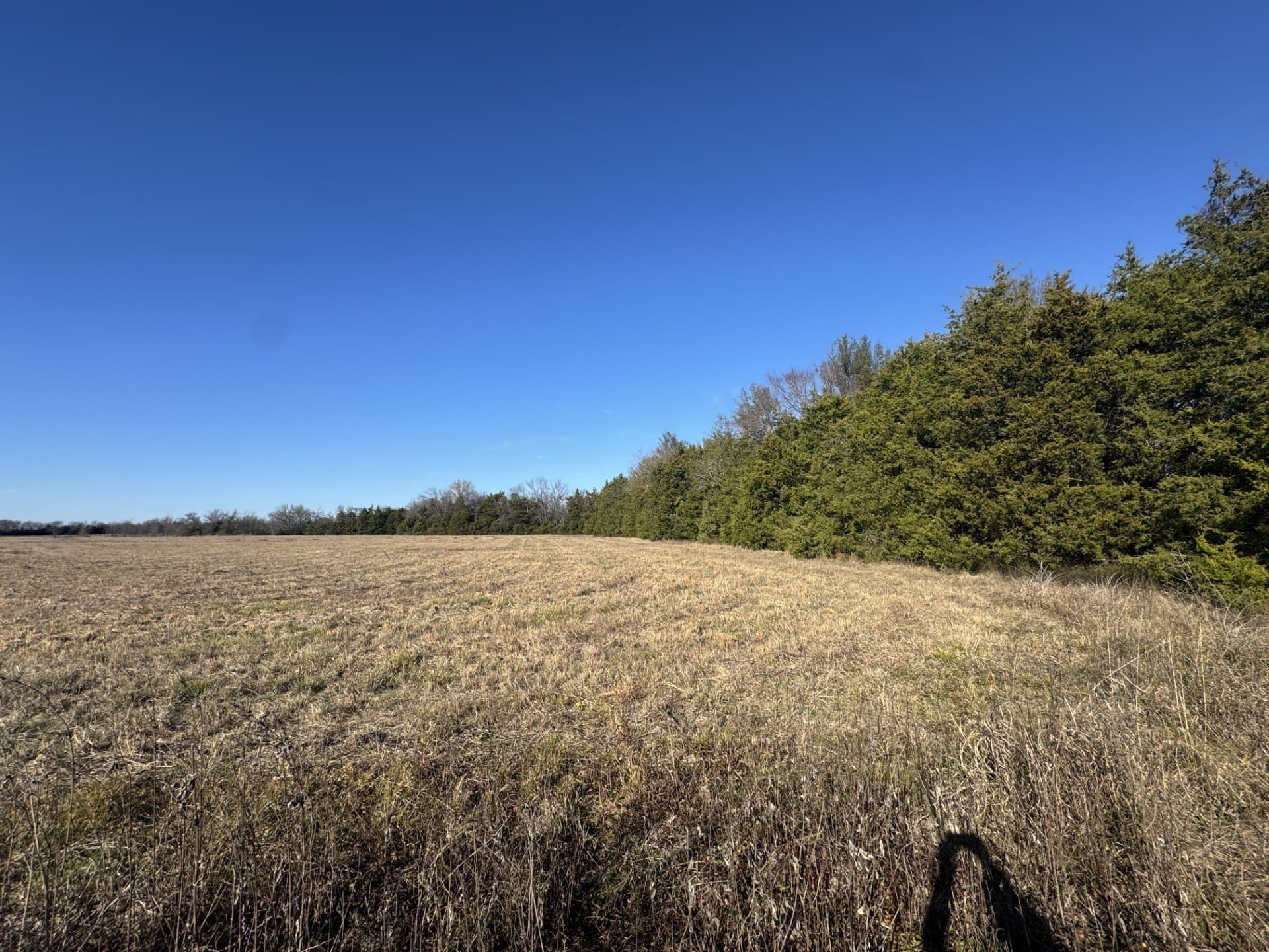 11 acres in Lamar County - photo 5