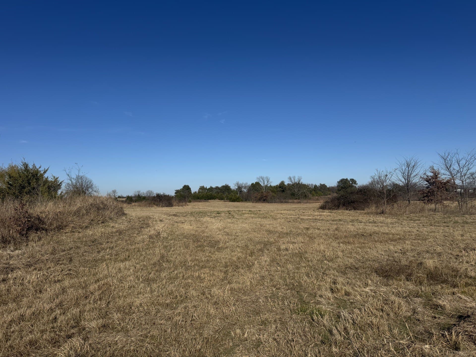 11 acres in Lamar County - photo 4