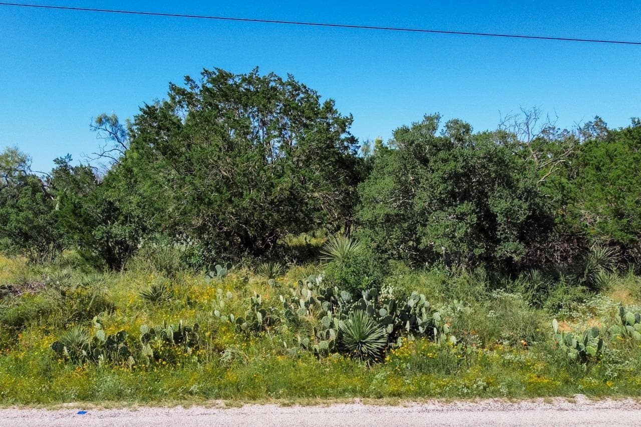 0.11 acres in Burnet County gallery image 4