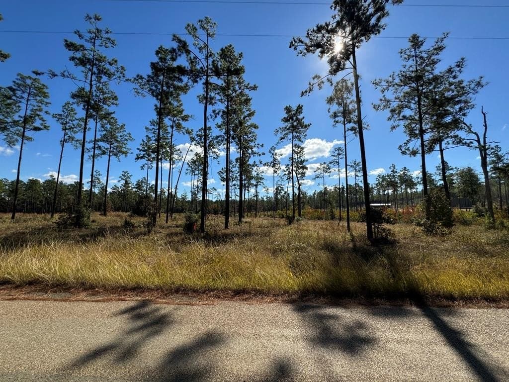 1.03 acres in Texas County
