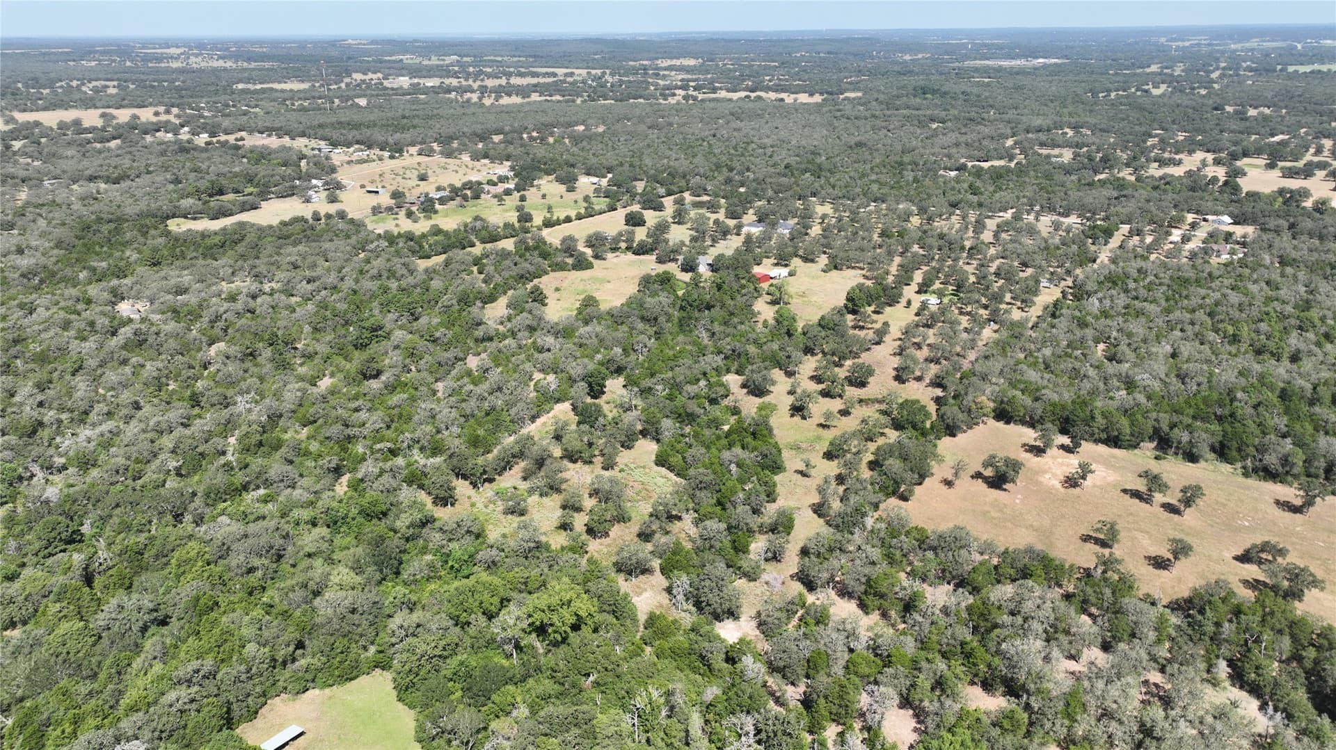 38.95 acres in Bastrop County gallery image 3