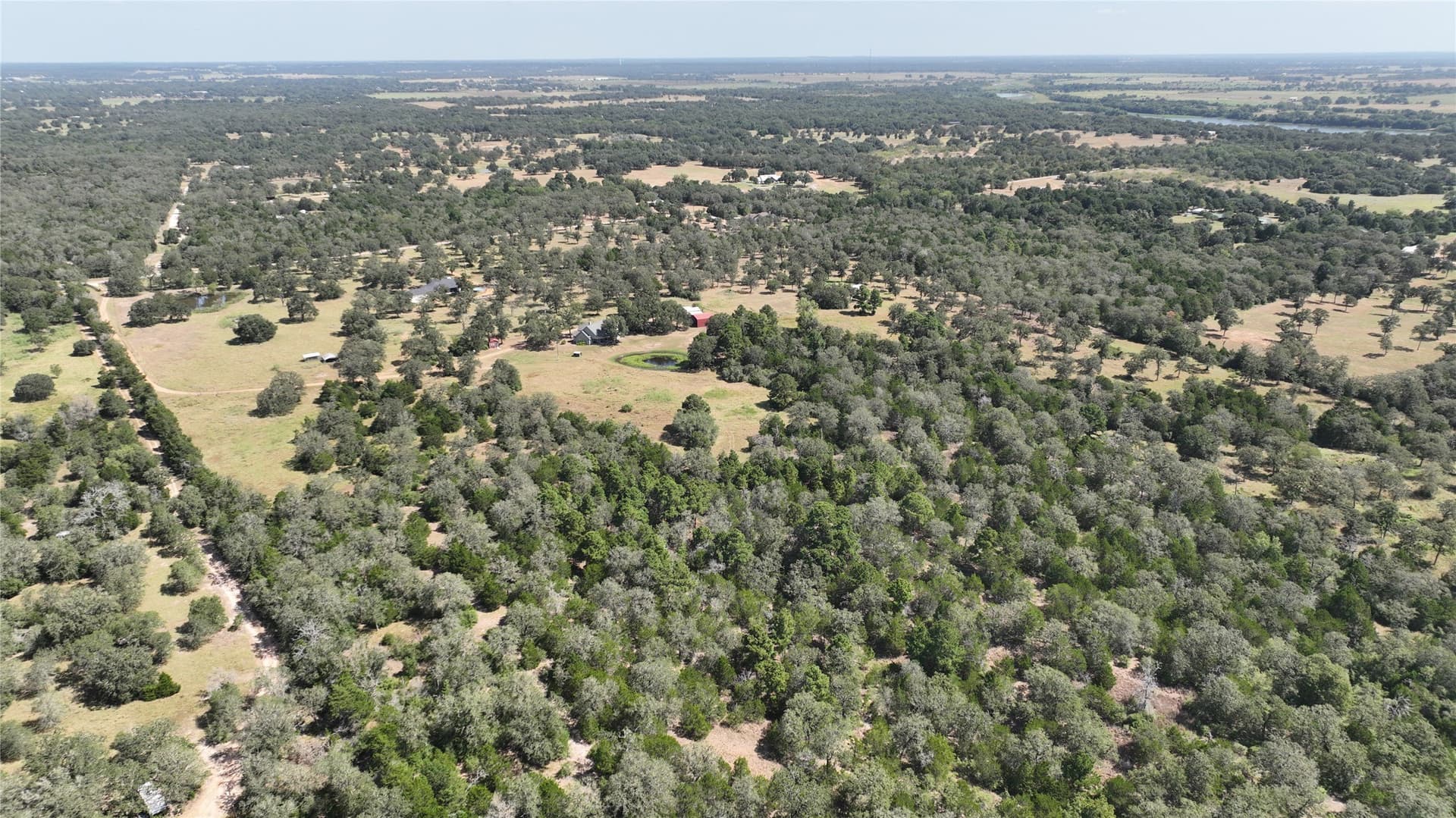 38.95 acres in Bastrop County gallery image 2