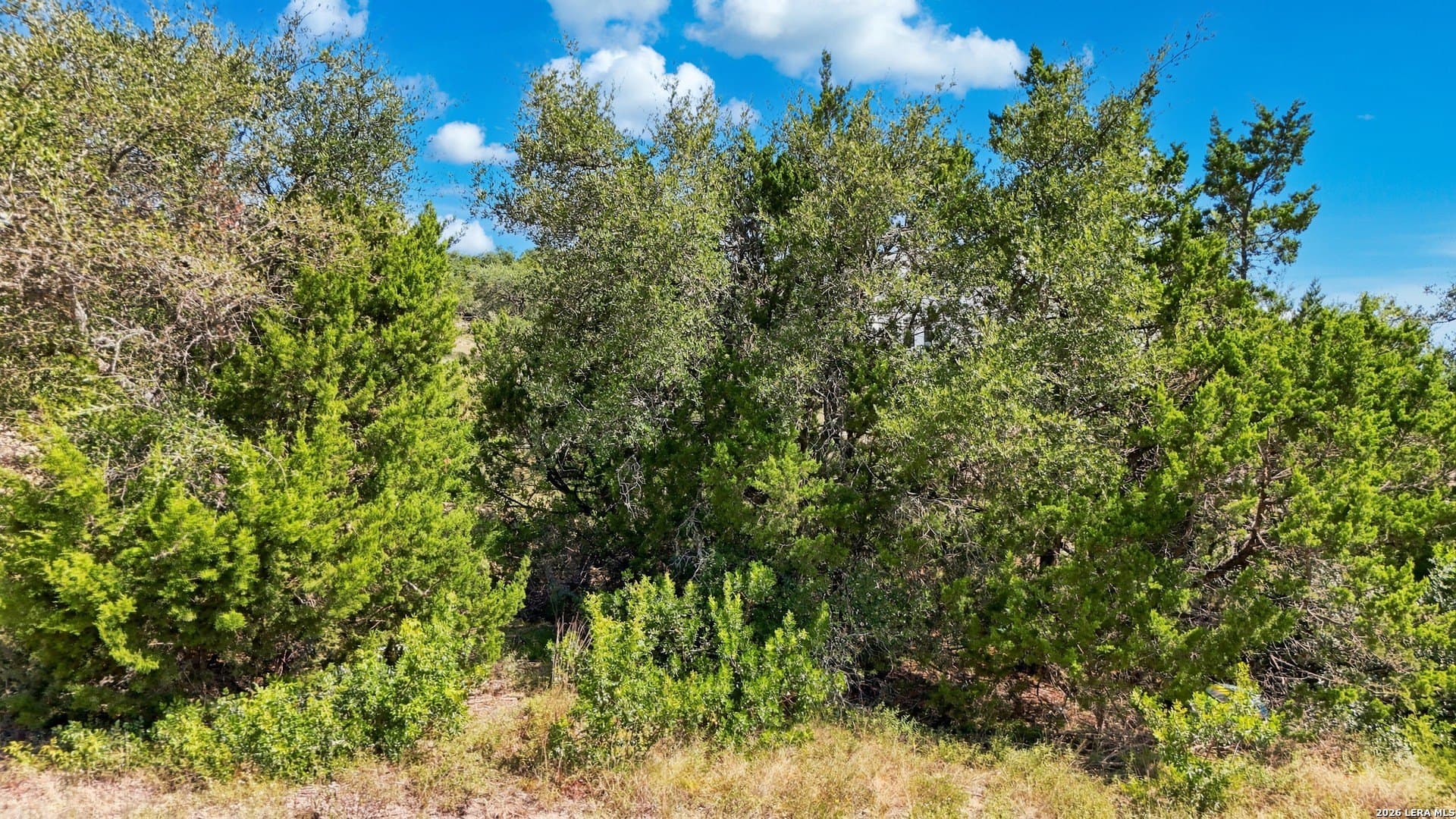 0.89 acres in Bexar County - photo 7