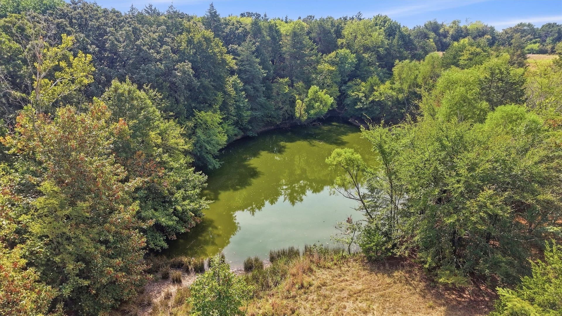 61.86 acres in Grayson County - photo 7