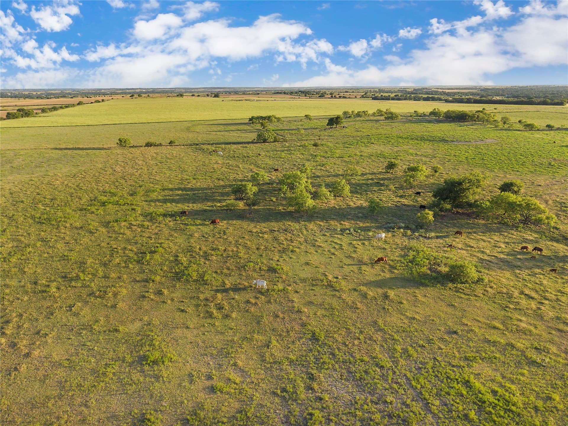 131.24 acres in Comanche County - photo 19