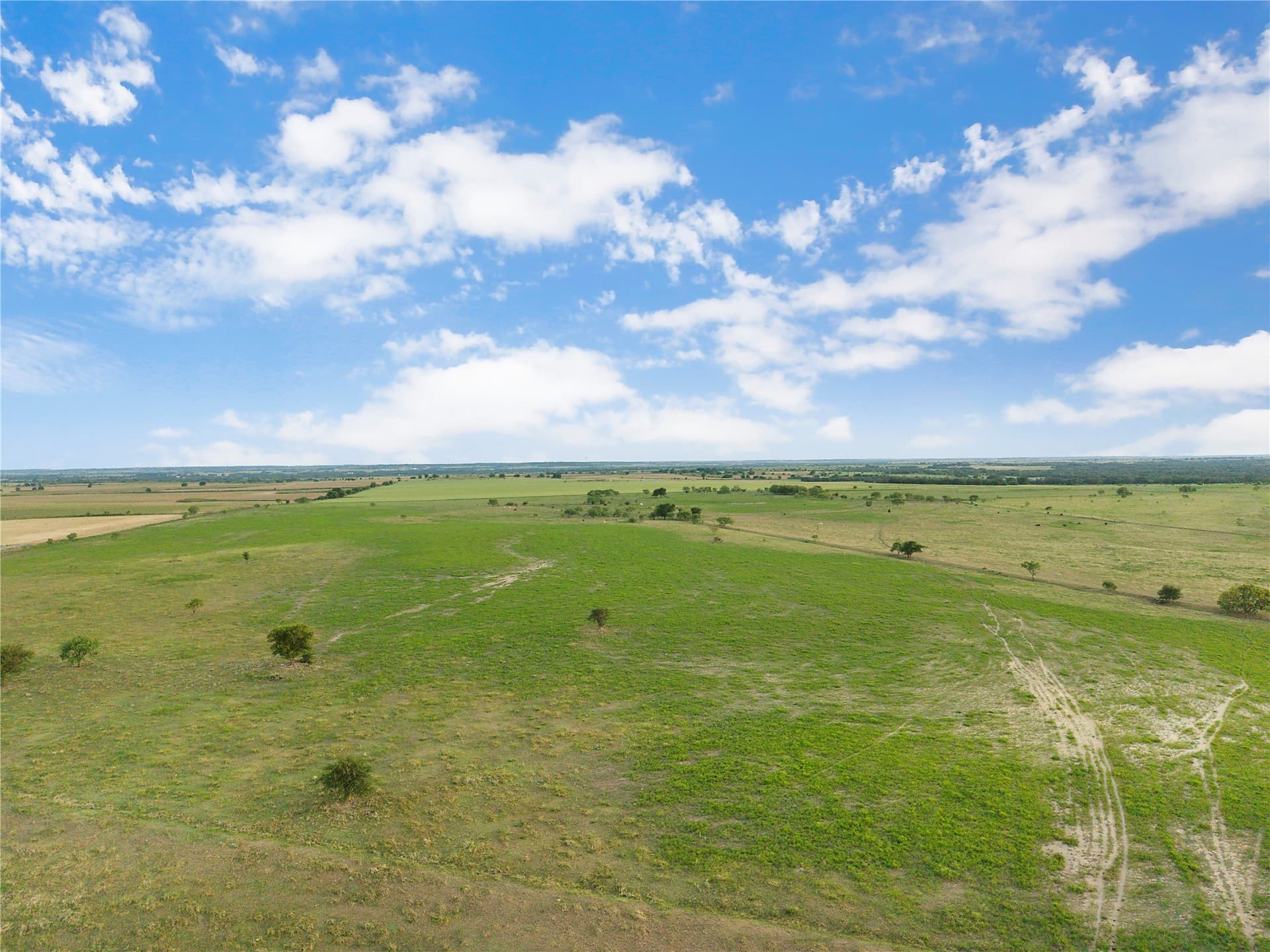 131.24 acres in Comanche County - photo 22