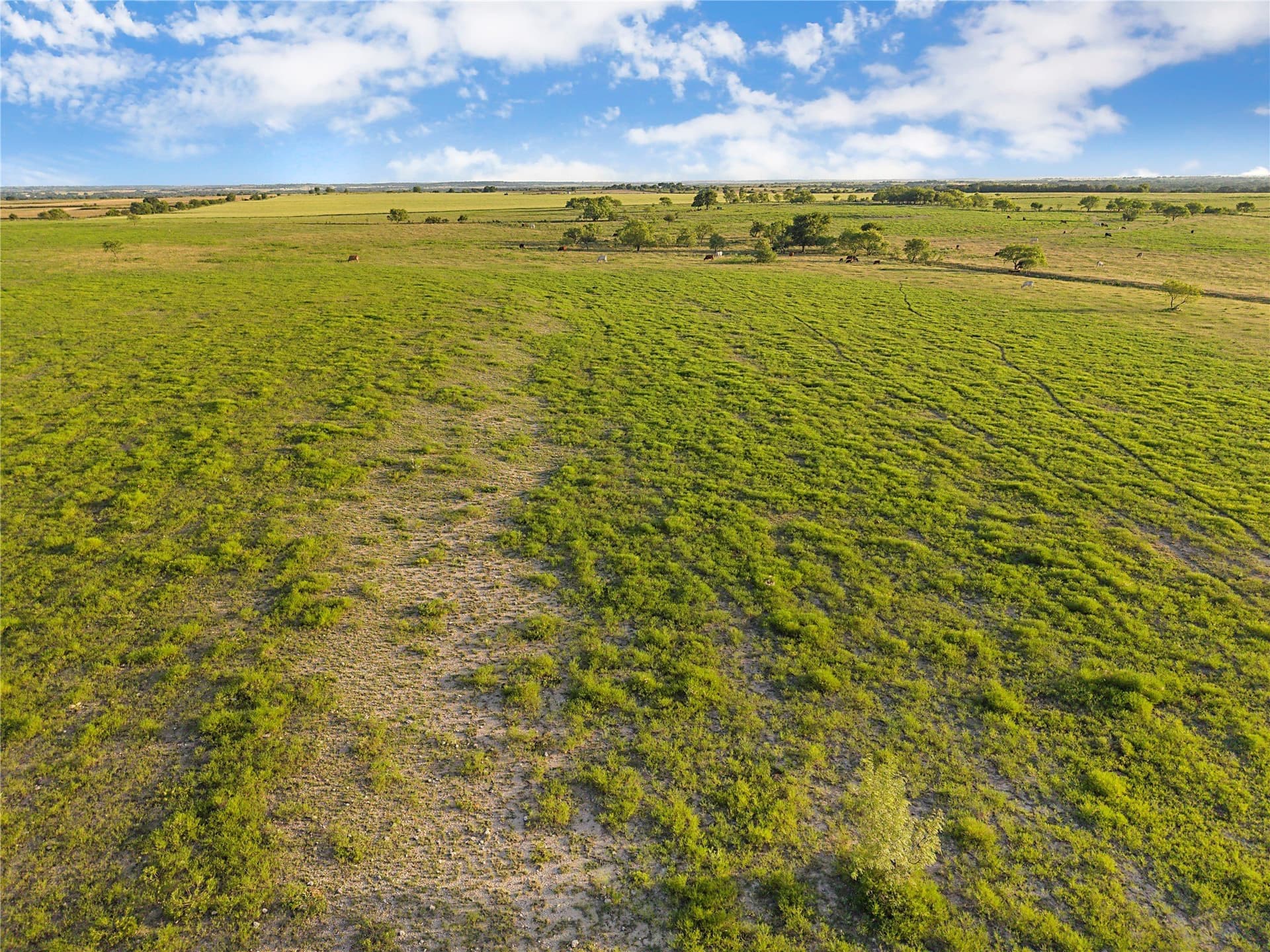 131.24 acres in Comanche County - photo 18