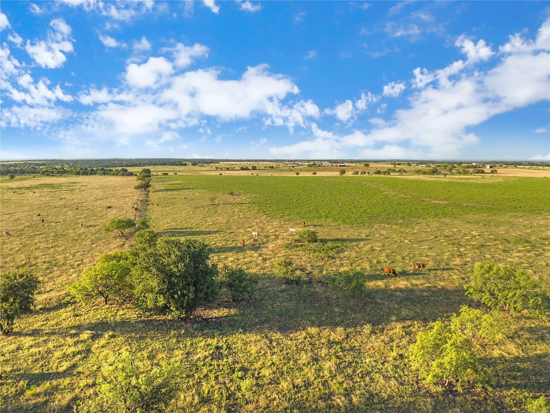 131.24 acres in Comanche County - photo 15