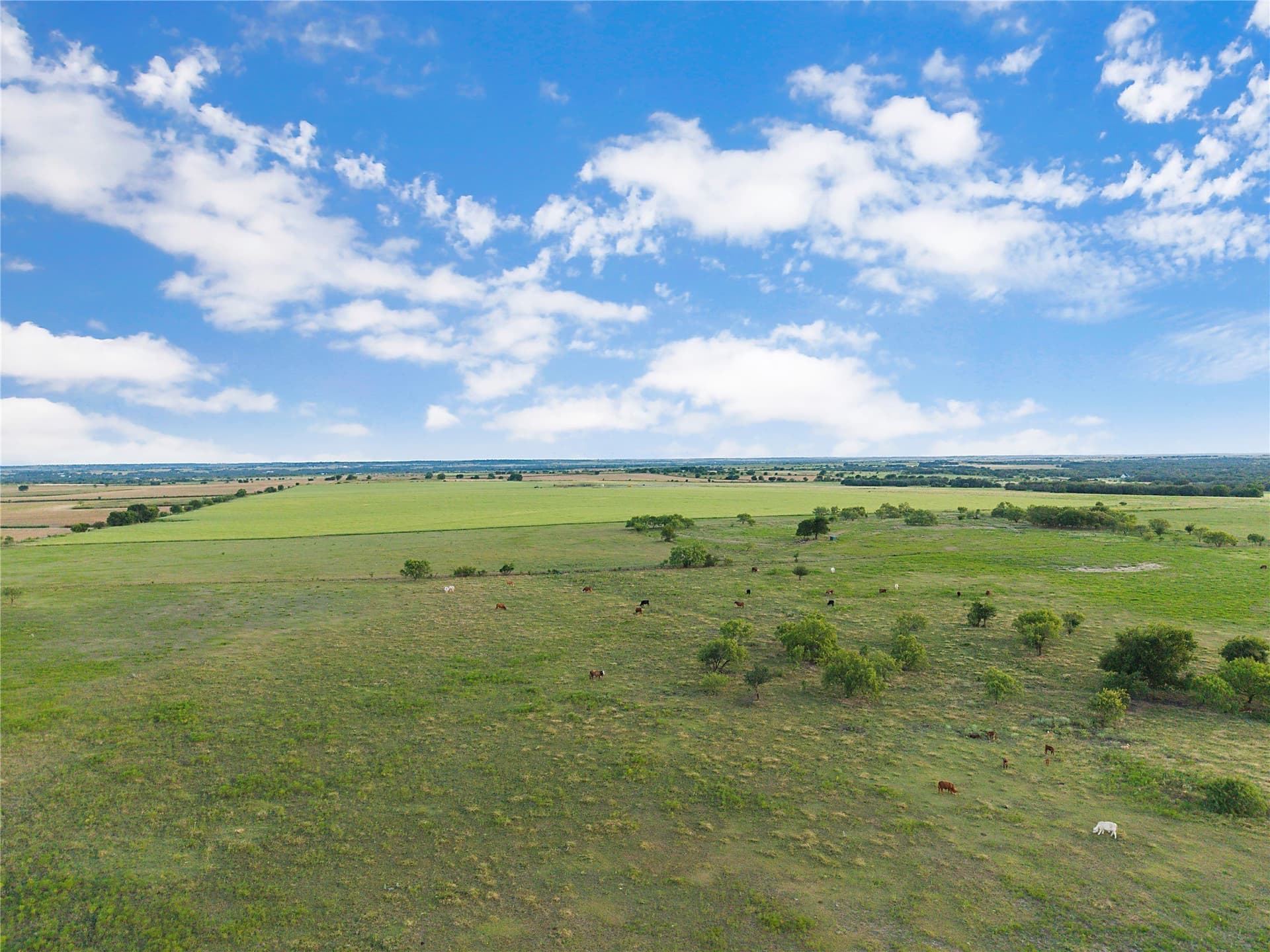 131.24 acres in Comanche County - photo 25