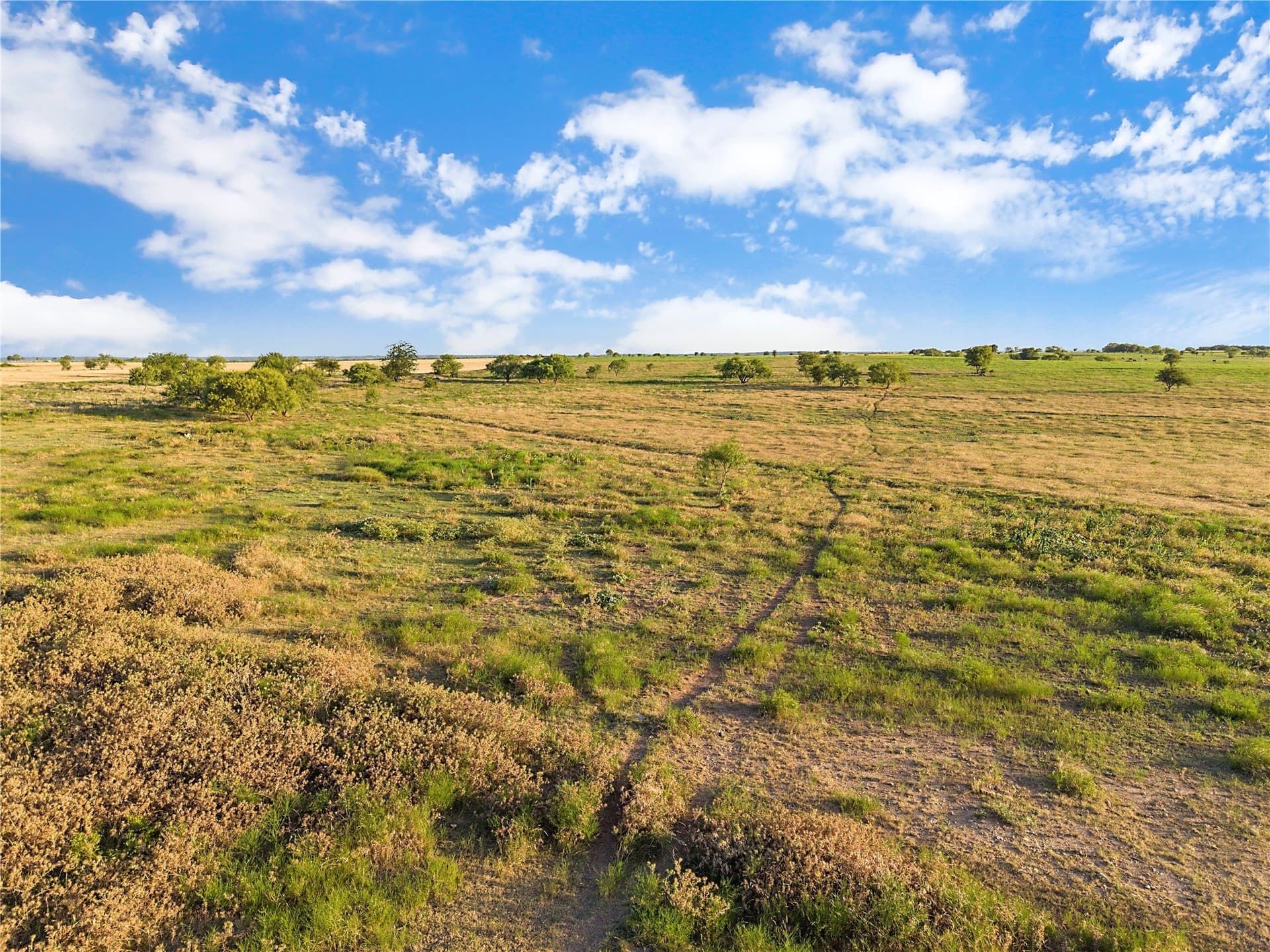 131.24 acres in Comanche County - photo 14
