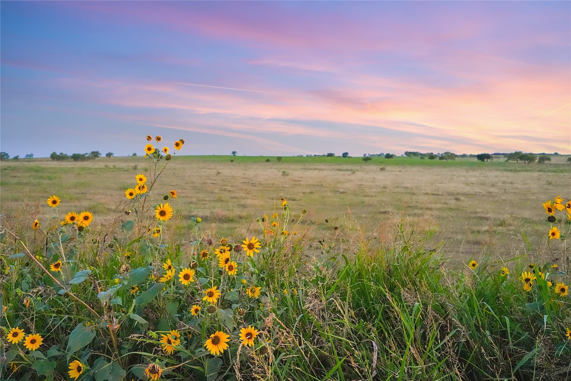 131.24 acres in Comanche County gallery image 3