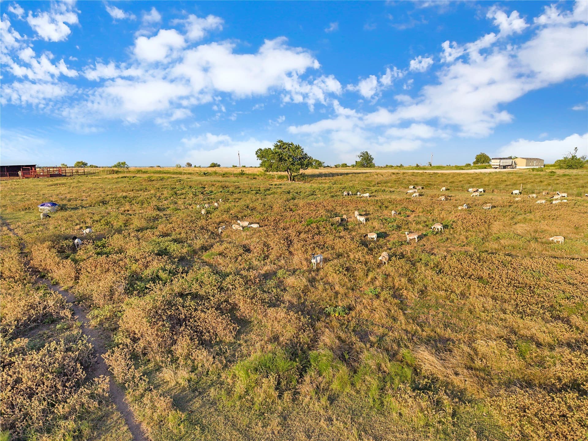 131.24 acres in Comanche County - photo 16