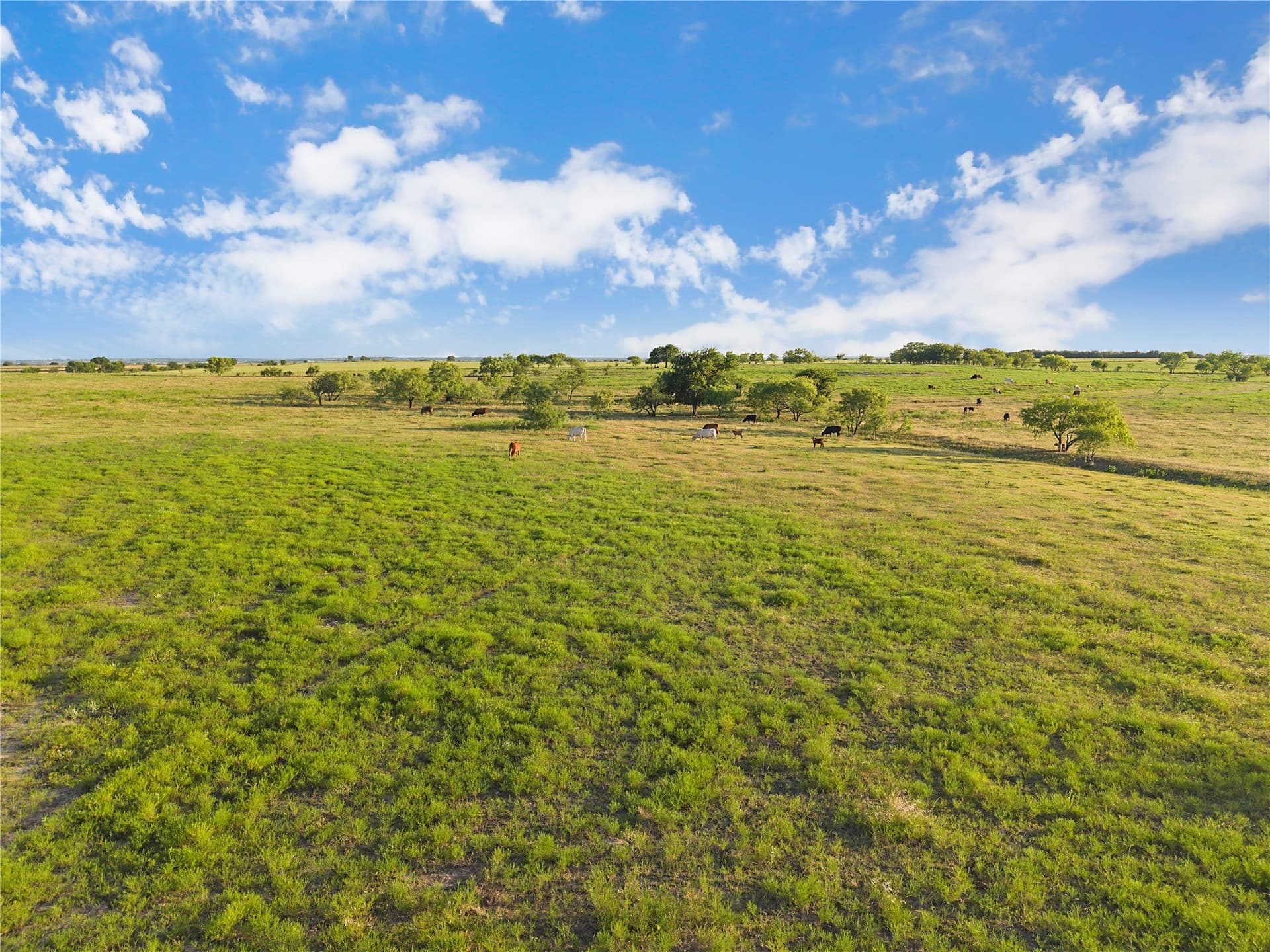 131.24 acres in Comanche County - photo 17