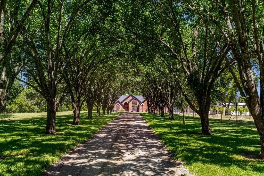 20.54 acres in Van Zandt County gallery image 4