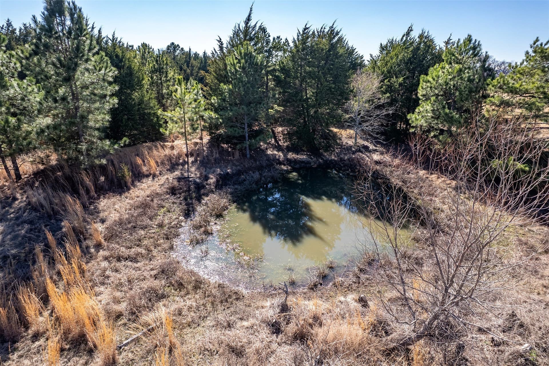 35.5 acres in Van Zandt County - photo 15