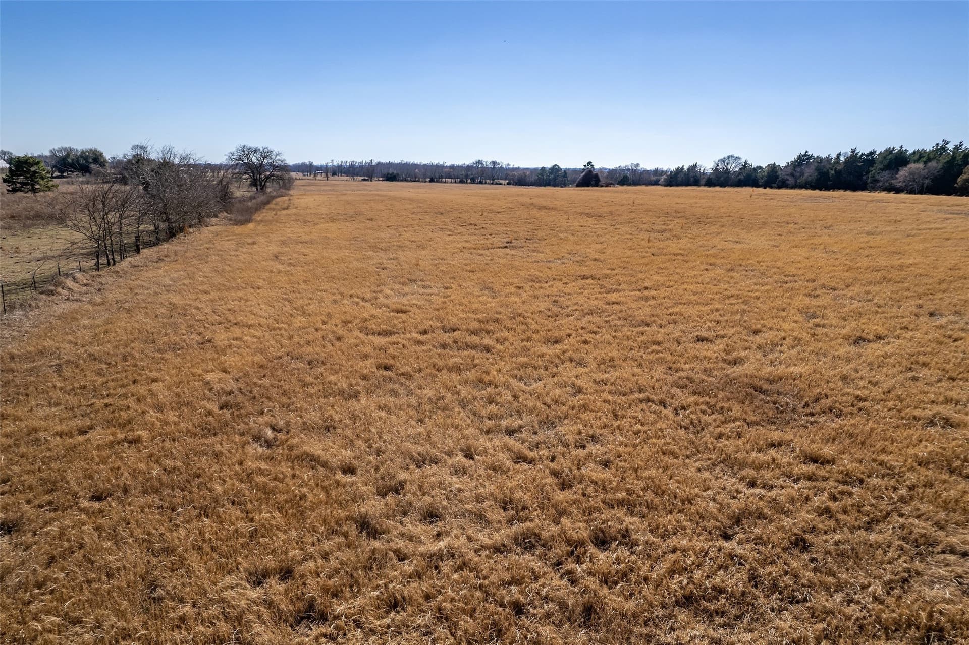 35.5 acres in Van Zandt County - photo 8
