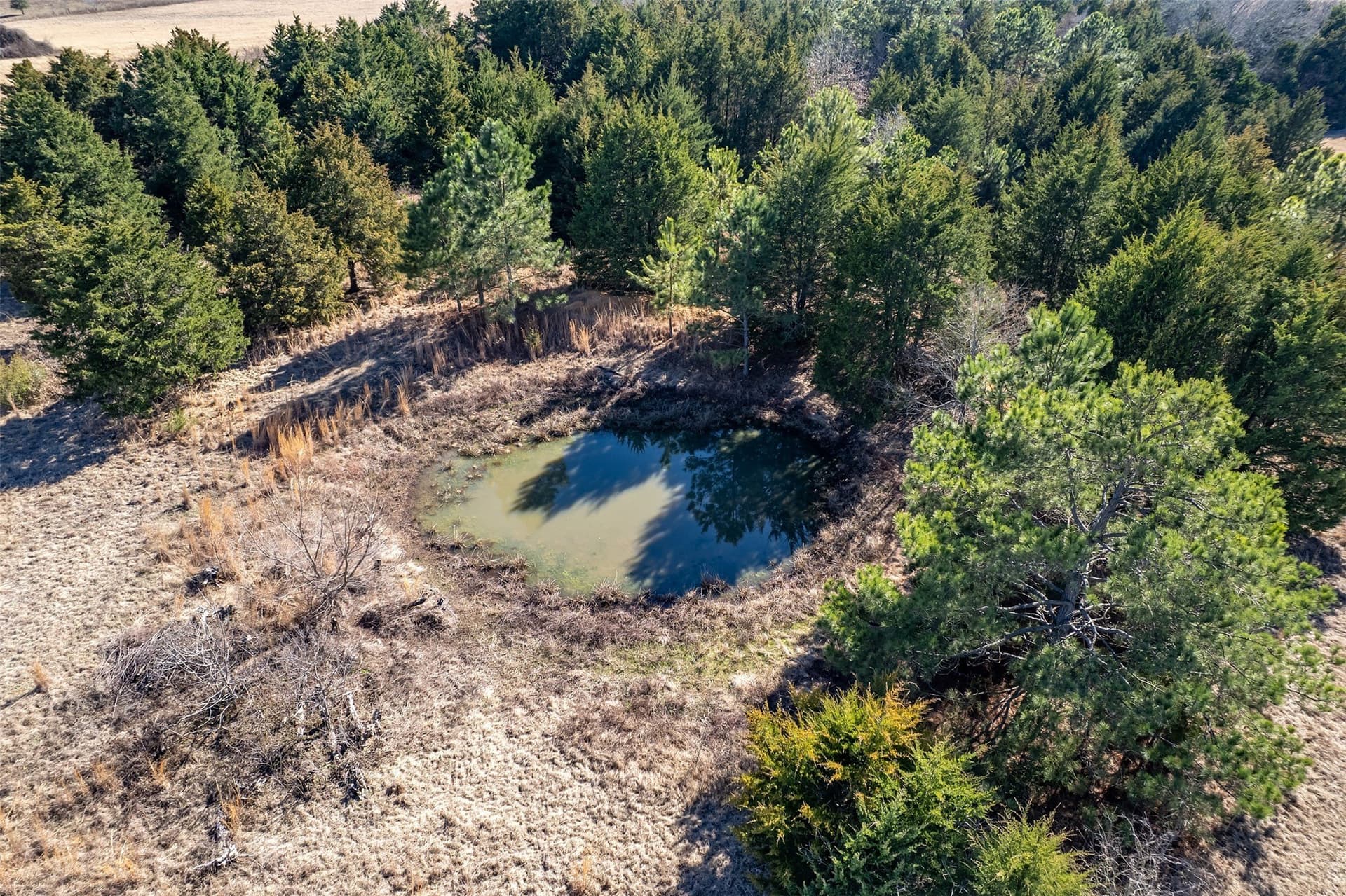 35.5 acres in Van Zandt County - photo 14