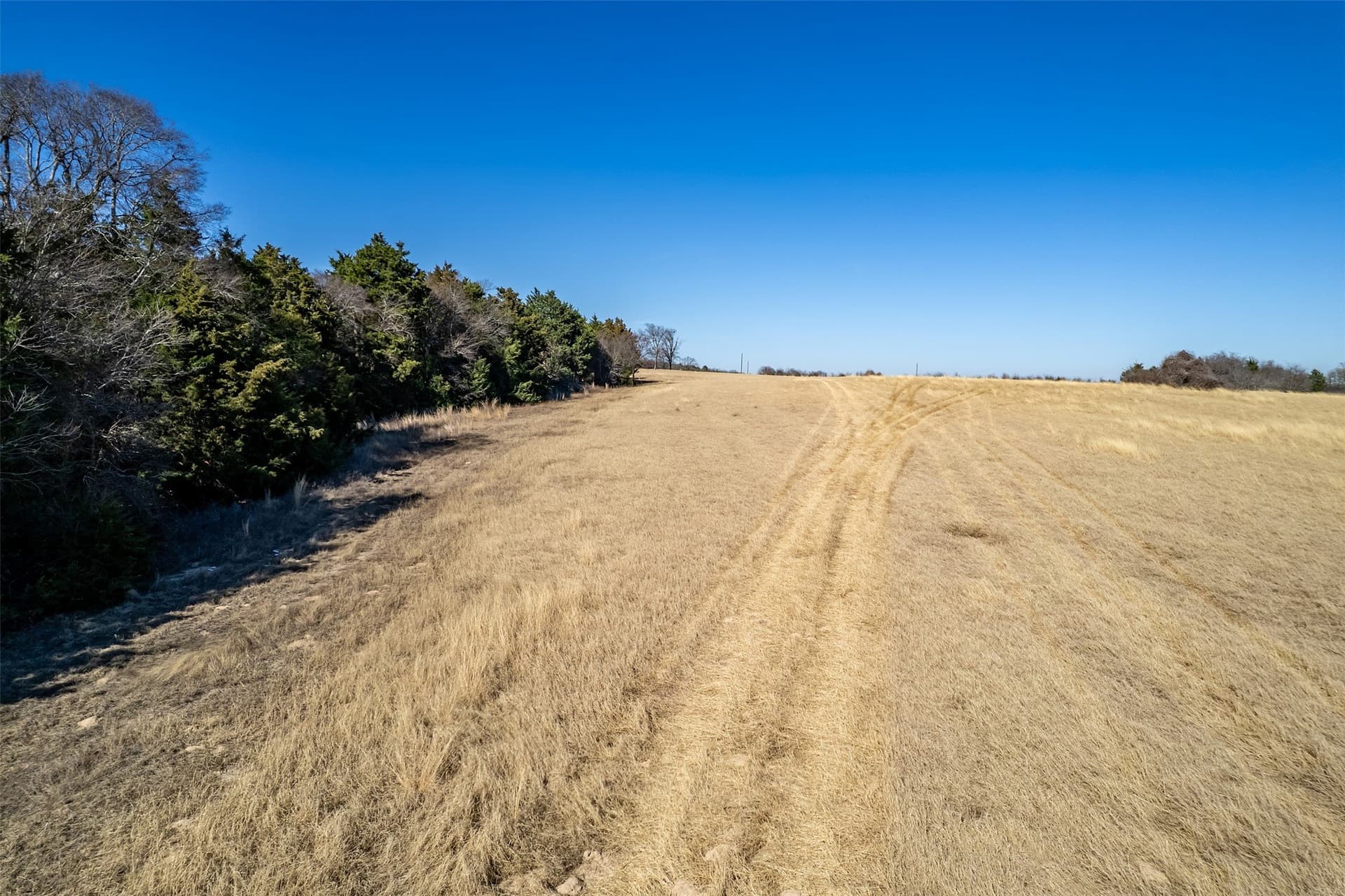 35.5 acres in Van Zandt County - photo 22