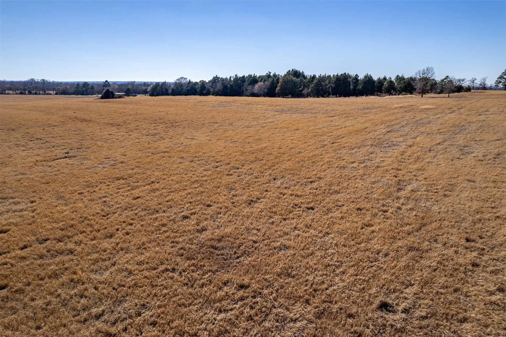 35.5 acres in Van Zandt County - photo 7