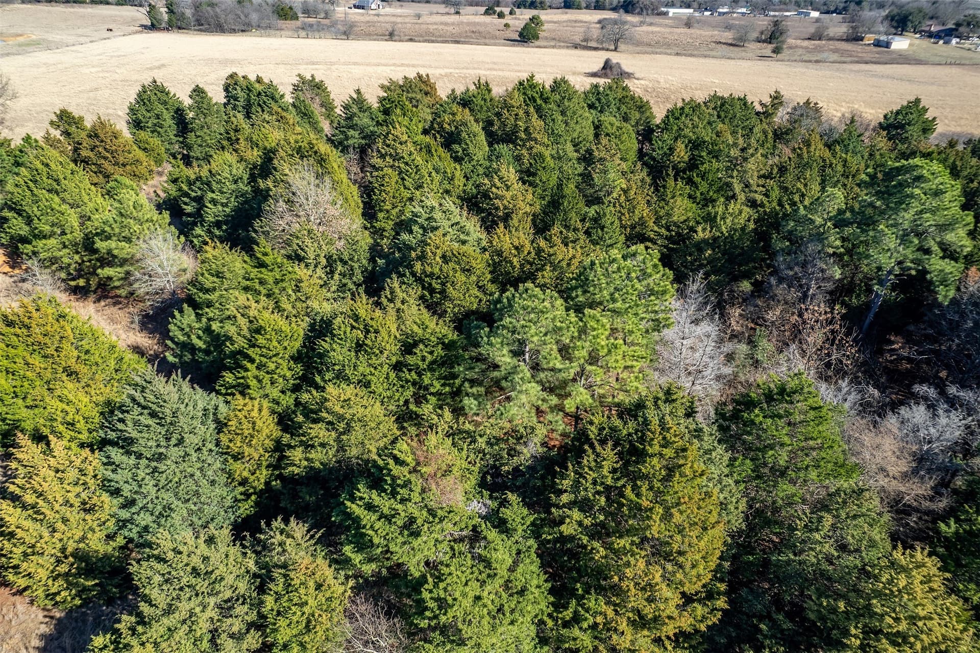 35.5 acres in Van Zandt County - photo 16