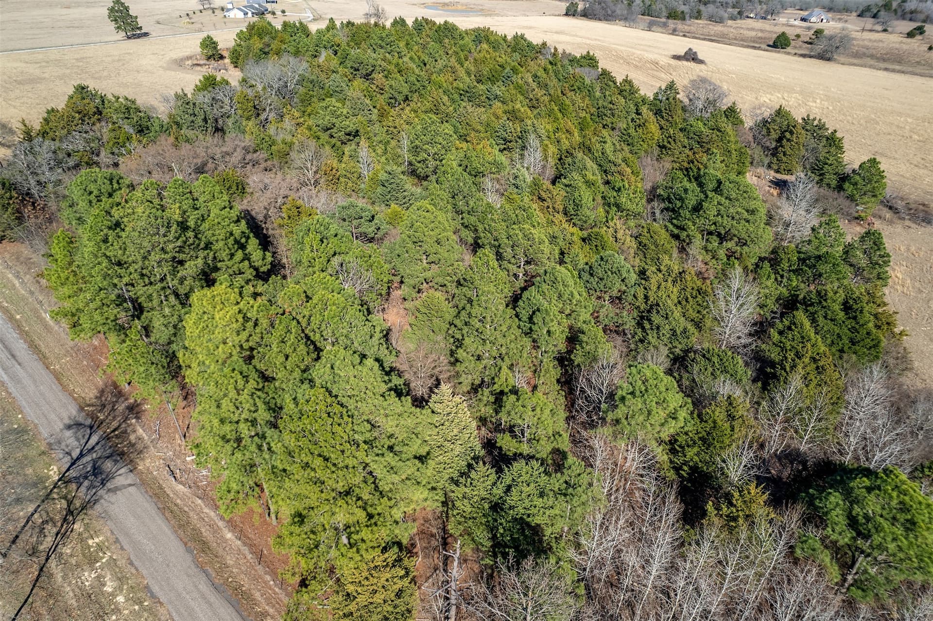 35.5 acres in Van Zandt County - photo 17