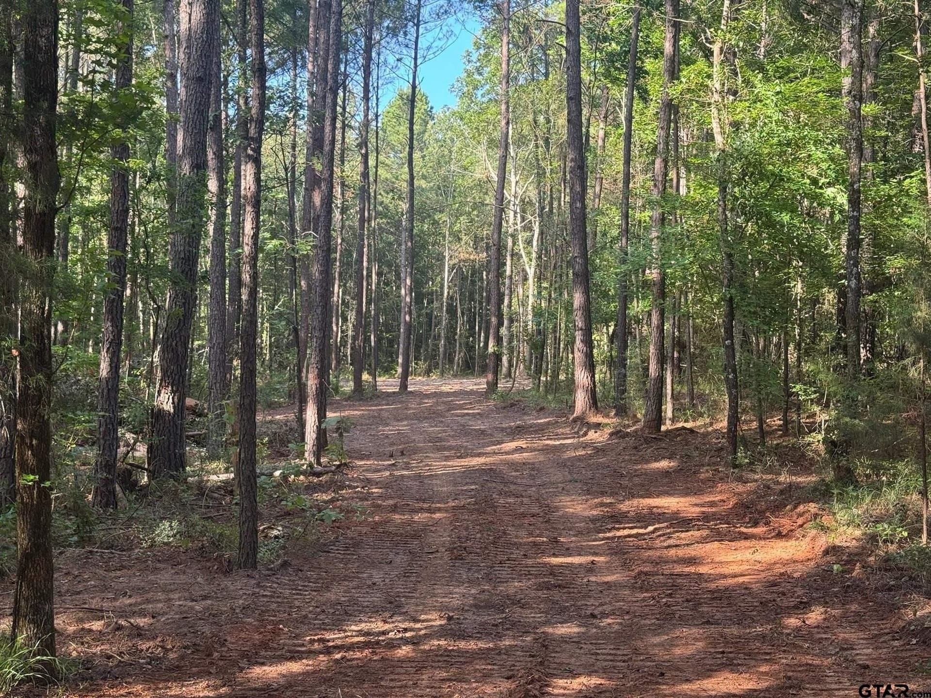 5.3 acres in Cherokee County - photo 2