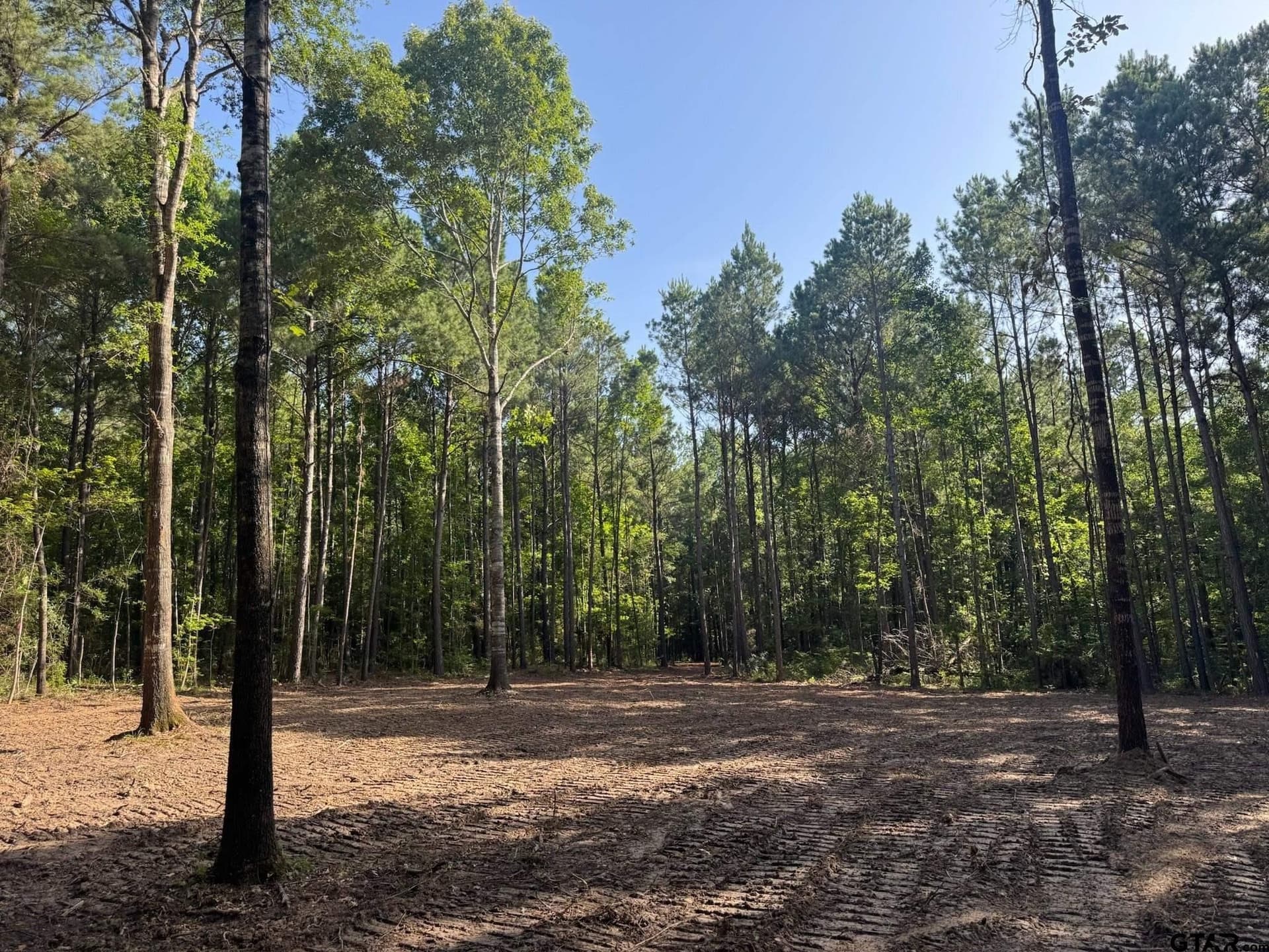 5.3 acres in Cherokee County - photo 3
