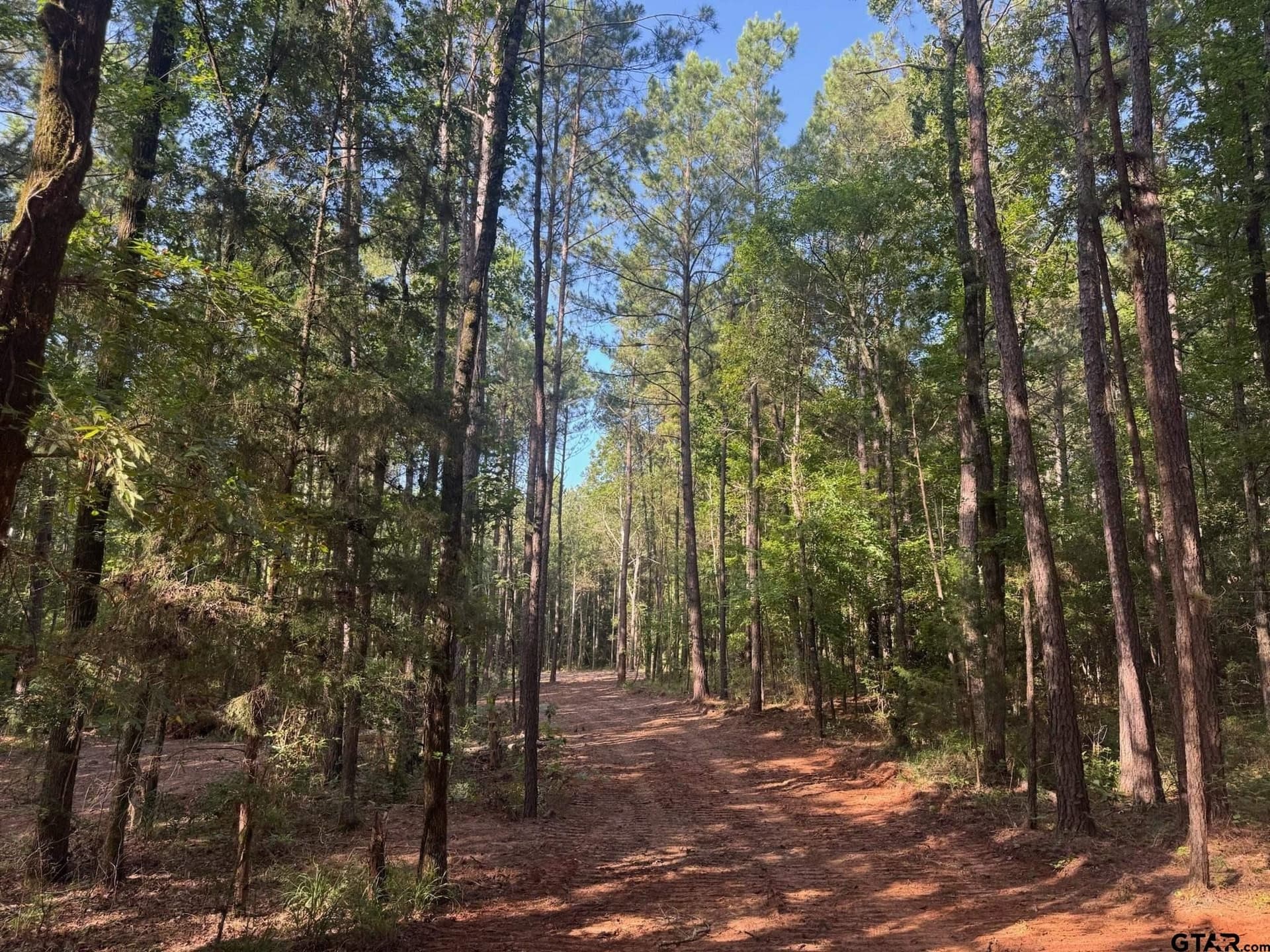 5.3 acres in Cherokee County - photo 6