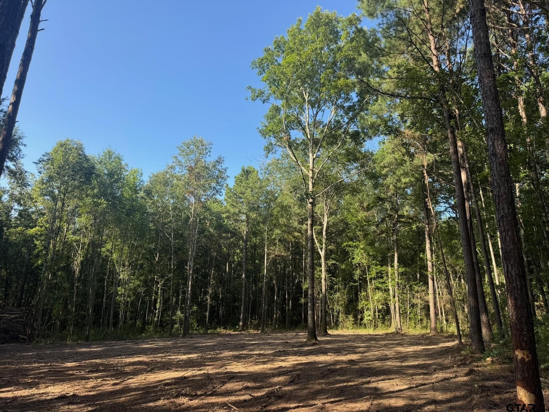 5.3 acres in Cherokee County - photo 5