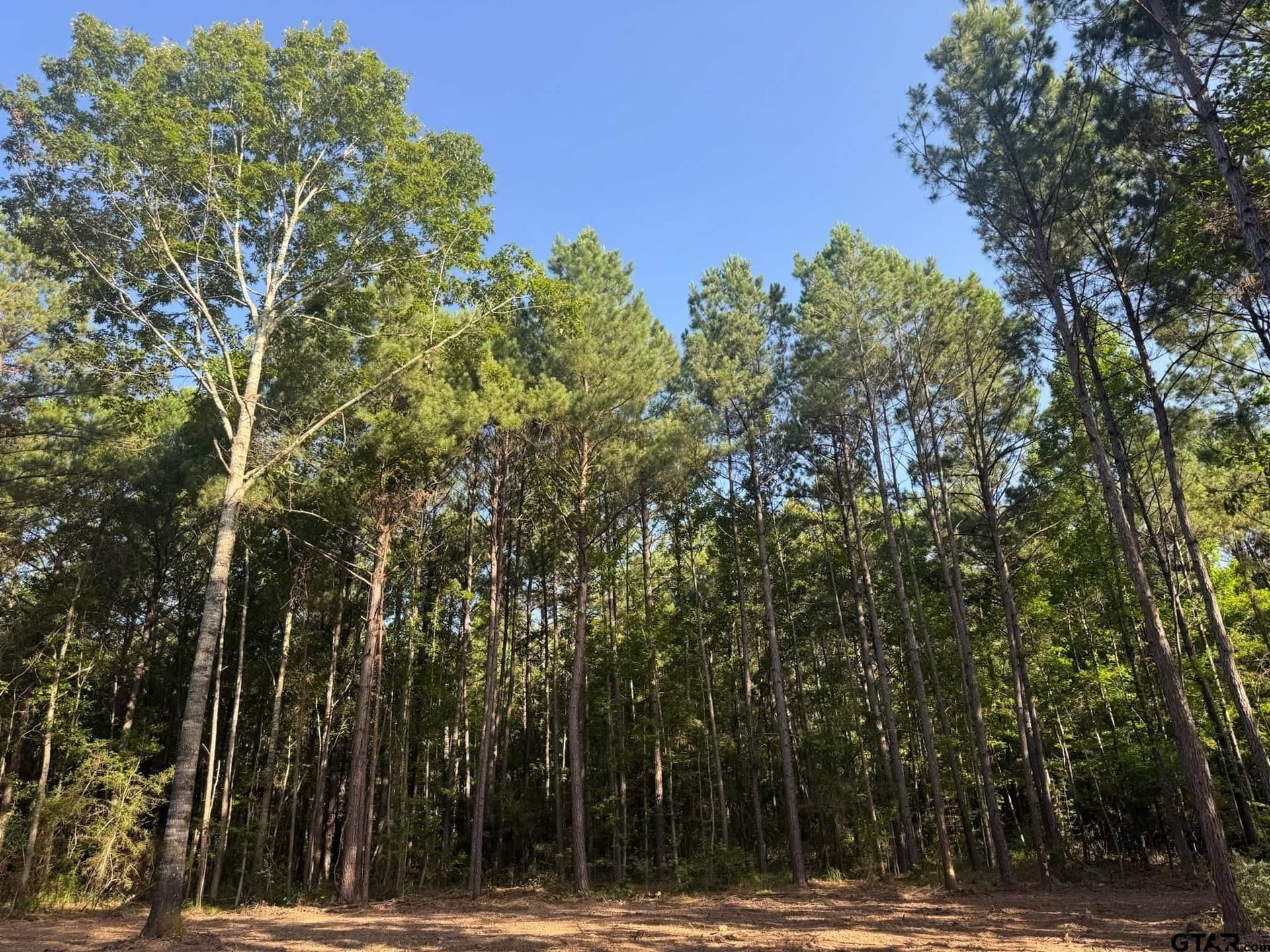 5.3 acres in Cherokee County - photo 4