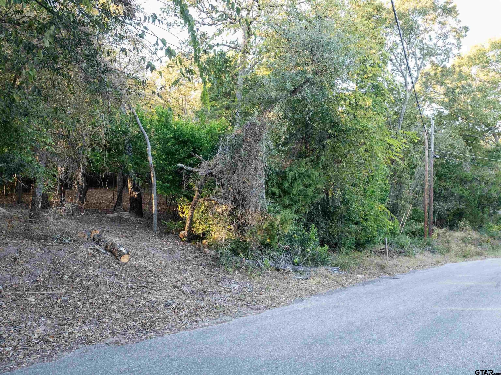 0.21 acres in Van Zandt County gallery image 4