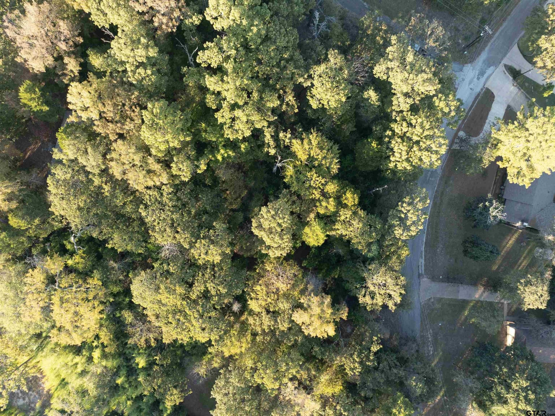 0.21 acres in Van Zandt County gallery image 2